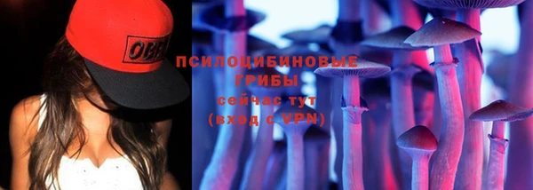 прущие крисы Майский