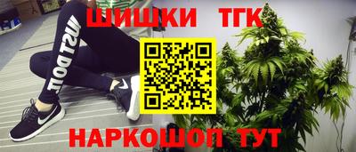 индика Заводоуковск