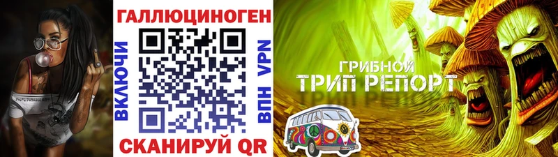 как найти закладки  Холмск  Галлюциногенные грибы Magic Shrooms 